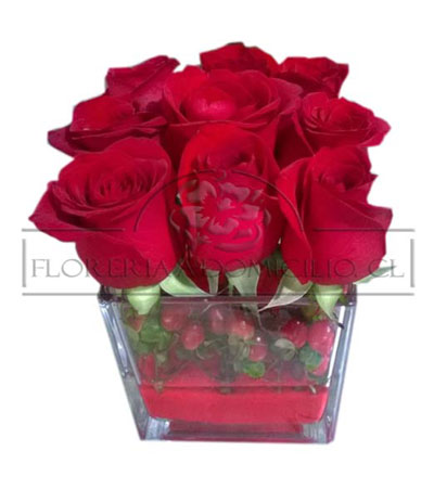 Rosas en Cubo